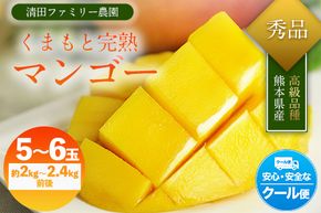 くまもと完熟マンゴー 5～6玉(約2kg～2.4kg前後) 熊本県玉名郡玉東町『清田ファミリー農園』マンゴー 完熟 秀品【日付指定不可】《5月下旬-8月末頃出荷》---sg_ckmango_cf58_r8_50000_2kg---
