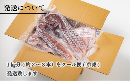 ＜漁師の浜ゆでたこ　1kg＞北海道　乙部町産　活〆　たこ　タコ　蛸