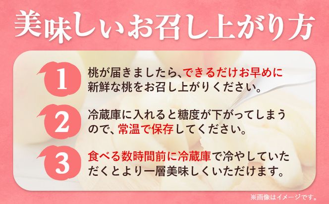 【2025年7月発送】【先行予約】もも 桃 紅清水・白鳳 どちらかお届け 2kg 6～9玉 小寺農園《2025年7月上旬-7月下旬頃出荷》 岡山県 笠岡市 岡山県産 紅清水 白鳳 モモ 果物 フルーツ 先行予約---A-30a---