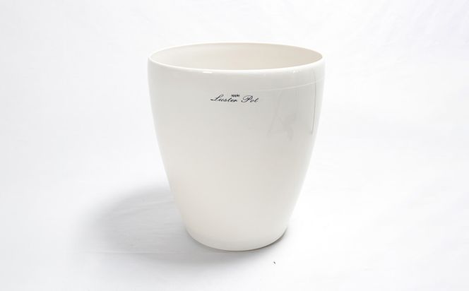 ★【沖縄の観葉植物】人気のフィカス フランスゴム6号 ラスターポット インテリアグリーン ゴムの木 ゴムノキ ガーデン 風水 鉢植え 癒し 成長記録 趣味 専門店 生活 オフィス おすすめ 暮らし おしゃれ 南国 日光 水やり お祝い 送料無料