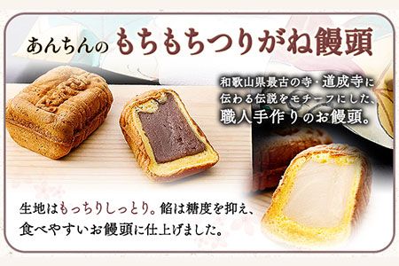 あんちんのもちもちつりがね饅頭 スペシャルセット 全6種×5個 計30個 有限会社あんちん 《30日以内に出荷予定(土日祝除く)》 和歌山県 日高川町 まんじゅう 饅頭 和菓子 スイーツ---wshg_antug_30d_22_14000_30c---