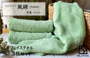 010B1397 エアコットン風綿フェイスタオル 3枚(若葉) 【泉州タオル 国産 吸水 普段使い 無地 シンプル 日用品 家族 ファミリー】