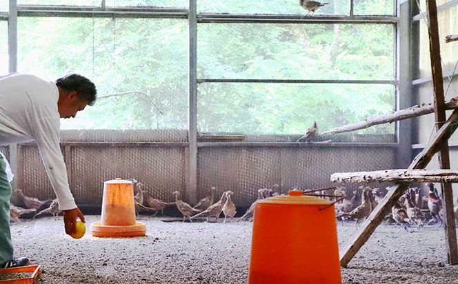 【きじ肉】土佐・本川 手箱"喜事"辛みそ鍋セット（３～４人前）