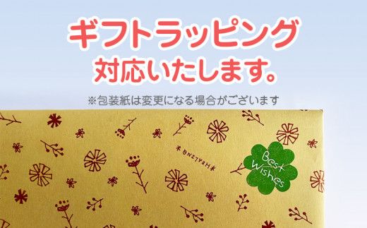 木のおもちゃ、出産祝いセットＳＲ