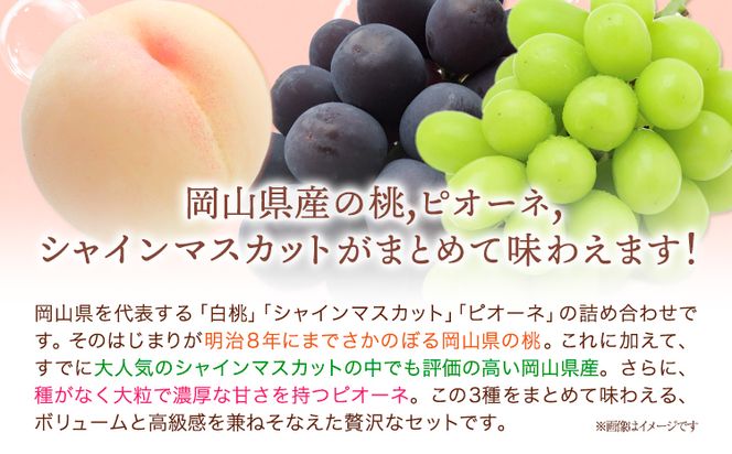 【2026年先行予約】桃 シャインマスカット ピオーネ 詰め合わせ 約1.8kg クール便 冷蔵便 桃 もも 葡萄 ブドウ ぶどう マスカット フルーツ セット 先行予約 晴れの国おかやま館 《2026年8月下旬‐9月中旬頃出荷》 フルーツ 果物 果実 岡山県 笠岡市---H-24a---