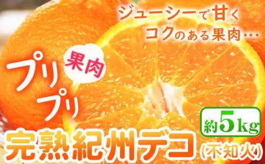 [先行予約]果肉プリプリ 完熟 紀州 デコ ( 不知火 ) 約 5kg 果肉 デコ 魚鶴商店[2月下旬-3月中旬頃よりに発送予定(土日祝除く)]紀州デコ 和歌山県 日高町 贈り物 ギフト 不知火 しらぬい でこぽん デコポン ---wsh_uot122_2g3c_25_18000_5kg---