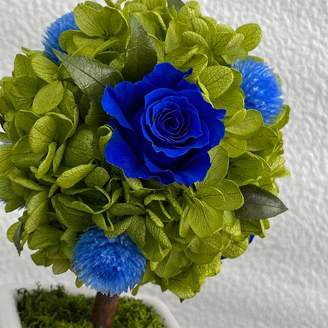 AJ186-1 プリザーブドフラワー【プティシュシュ/ブルー】春日部市 シュガーパイン