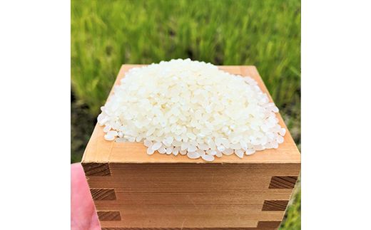 【白米】富山県魚津産 コシヒカリ（こだわり栽培） 10kg こしひかり 精米 きらめき