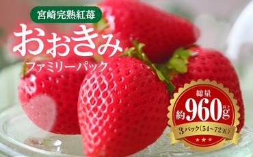 宮崎完熟紅苺「おおきみ」ファミリーパック_M279-006