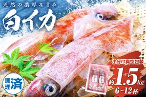 BBQに最適！ 白イカ（ケンサキイカ） 調理済み 正味1.5kg入り（6～12匹） ※小分け真空包装　UO01226