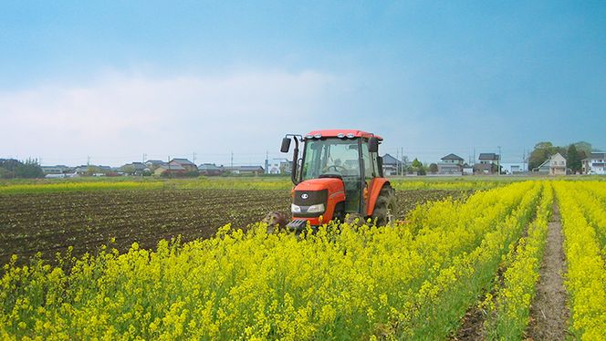 y錧΂݂炢szߘa7NY RVqJ (  5kg ) ʍ͔| ؂̉ԕ u؍؂v    ͂   Y 錧Y V v[g V KvȂ ֗  Օi l炵 l炵 Kv Ђ  yY Mtg 