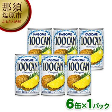 154-1041-29 カゴメ 100CAN パインアップル ジュース 160g 6缶パック