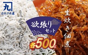 しらす屋のしらす干しと佃煮の欲張りセット H006-080