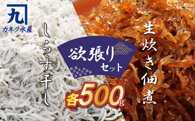 ymɓsz炷̂炷ƒώς̗~Zbg H006-080