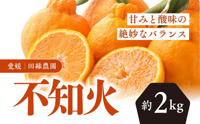 【先行予約】【数量限定】田縁農園の不知火（しらぬい）2kg ｜ 柑橘 みかん ミカン フルーツ 果物 でこぽん デコポンと同品種 愛媛 ※離島への配送不可 ※2025年2月上旬～3月上旬頃に順次発送予定