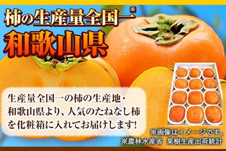 先行予約【秋の味覚】和歌山 産 の たねなし 柿 2L～4Lサイズ 約 4kg（化粧箱入り）厳選館《2026年10月上旬-11月上旬頃出荷》和歌山県 日高川町 柿 カキ かき ジューシー フルーツ たねなし---wshg_tmt253_10j11j_25_16000_4kg---