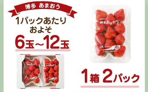 大粒セレクト！大人気のあまおう　福岡県産いちご　280g×2パック【2025年1月中旬～2月中旬発送】_HA0276