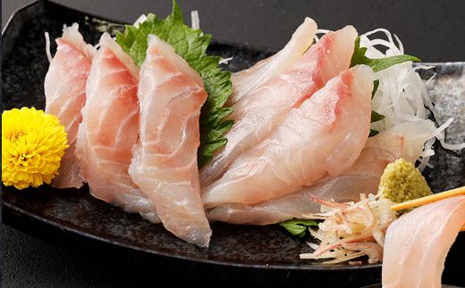 【定期便 年12回】初音の定期便お楽しみセット!! おひとり様向け 2人前 毎月届く 肉 魚 惣菜 刺身 加工品 おかず 一人暮らし 冷凍　hn057!