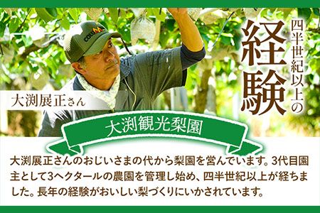 梨 完熟梨 ( あきづき 新高梨 新興梨 のいずれか) 約4.5-5kg (8～18玉) フルーツ 果物 旬 熊本県長洲町産 大渕観光梨園 《9月上旬-12月中旬頃出荷》フルーツ 梨 なし---sn_obcns_ae912_26_15000_5kg---