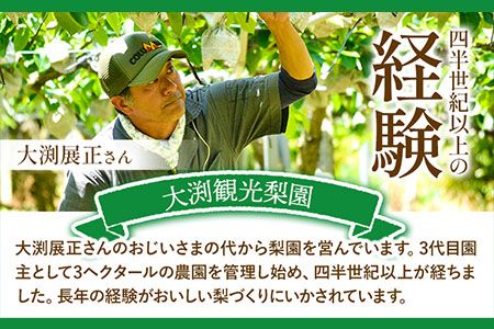 梨 完熟梨 ( あきづき 新高梨 新興梨 のいずれか) 約 5kg (8～18玉) フルーツ 果物 旬 熊本県長洲町産 大渕観光梨園 《9月上旬-12月中旬頃出荷》フルーツ 梨 なし---sn_obuchinasi_ae912_24_14000_5kg---