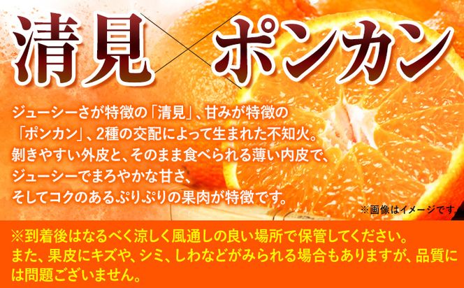 【先行予約】紀州有田産 不知火 ( デコポン と同品種 ) 約 5kg 株式会社魚鶴商店《2025年2月上旬-3月下旬頃より出荷予定》 和歌山県 日高町 不知火 しらぬい 柑橘 ご家庭用 デコポン 訳ありデコポン でこぽん---wsh_uot16_ab23_23_14000_5kg---