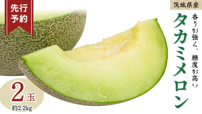 《 先行予約 》茨城県産 タカミ メロン 3L 2玉 ( 約 2.2kg ) 【 2026年6月初旬発送開始 】 タカミメロン たかみメロン 高果物 フルーツ 青肉 めろん 大玉 3Lサイズ 期間限定 旬 国産 貴味メロン [DV009us]