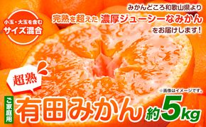 ＜先行予約＞家庭用 超熟 有田 みかん 5kg+150g（傷み補償分）【わけあり・訳あり】【光センサー選果】池田鹿蔵農園@日高町（池田農園株式会社）《11月上旬-12月末頃出荷》和歌山県 日高町【配送不可地域あり】みかん 有田みかん---wsh_idn66_11j12m_24_11000_5kg---