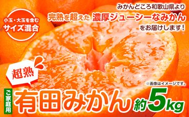 ＜先行予約＞家庭用 超熟 有田 みかん 5kg+150g（傷み補償分）【わけあり・訳あり】【光センサー選果】池田鹿蔵農園@日高町（池田農園株式会社）《11月上旬-12月末頃出荷》和歌山県 日高町【配送不可地域あり】みかん 有田みかん---wsh_idn66_11j12m_24_11000_5kg---