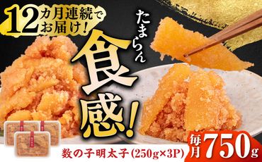 【全12回定期便】数の子明太子250g×3パック（計750g）《築上町》【株式会社マル五】[ABCJ095]