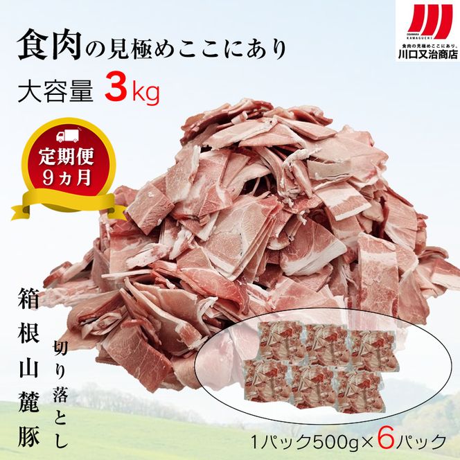 169-2574　【定期便９ヵ月】箱根山麓豚　モモ・ウデ切り落とし３K盛り(500ｇ×６パック)【 箱根山麓豚 切り落とし 神奈川県 小田原市 】