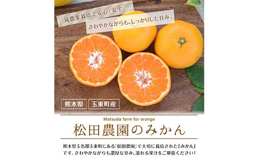 ジューシーで甘い♪『松田農園』のみかんたっぷり約5kg (S-2Lサイズ) 予約受付中 フルーツ 秋 旬 熊本県 玉名郡玉東町『松田農園』手間暇かけたこだわりのミカン《11月上旬-1月下旬頃出荷》---sg_mtdmikan_ak111_r7_12500_5kg---