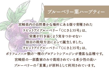 ＜ブルーベリー葉ハーブティー 35g 1瓶（宮崎県国富町「くにさと35号」使用）＞翌月末迄に順次出荷【a0532_or】
