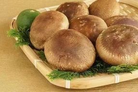 【一週間以内に発送】生しいたけ　肉厚シイタケ　無農薬　菌床栽培　200gX4(袋)【ハタモト農産】_HA1006