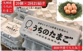 【B3-011】うちのたまご醤油セット(2回お届け)