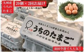 【B3-011】うちのたまご醤油セット(2回お届け)