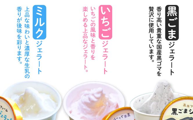 【2025年12月～発送】【濃厚ミルク】ジェラート ミルク2個 黒ゴマ2個 いちご2個 計6個入り / アイスクリーム スイーツ / 南島原市 / 高原ファーム[SFP003]