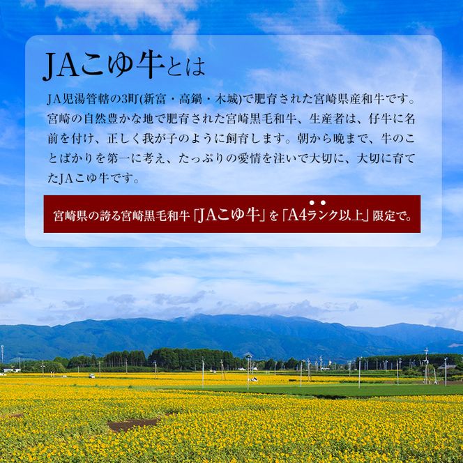 ＜JAこゆ牛A4ランク以上切落し 700g＞翌月末迄に順次出荷【c139_ja_x2】