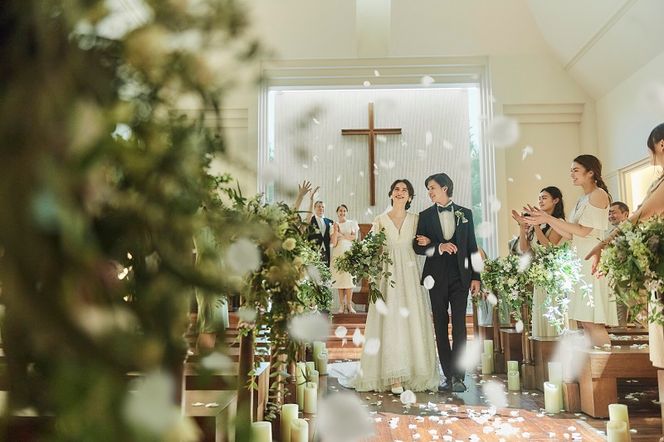 y{򍲖sz099H055 ؂̋ {i v