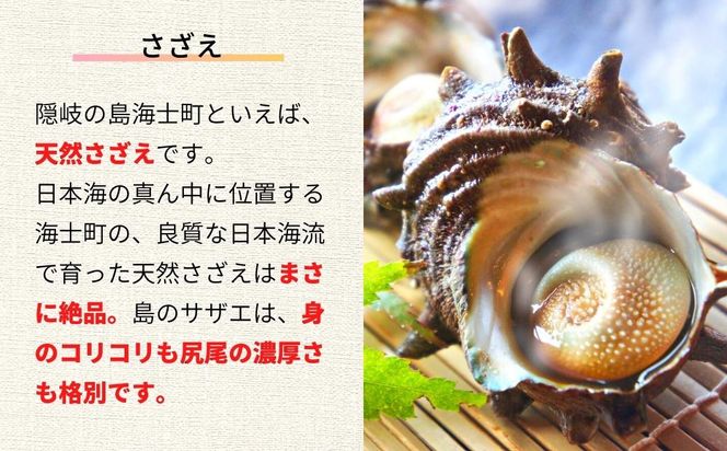 【海士の貝づくしセット】ブランド岩牡蠣・さざえ・ひおうぎ貝の島の絶品海鮮