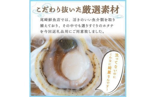 活貝ホタテ 3kg ( オホーツク 貝柱 魚介類 魚介 海鮮 貝類 帆立 刺身 バーベキュー BBQ )【091-0011-2024】