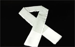 刺繍半衿（半襟）グリーン　AM00268