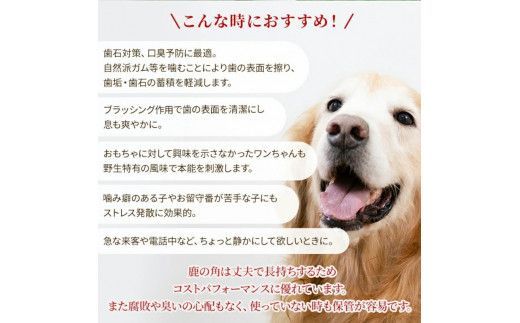 鹿の角 犬のおもちゃ ペット用 LLサイズ ( ペット おもちゃ 鹿 角 )【079-0005】