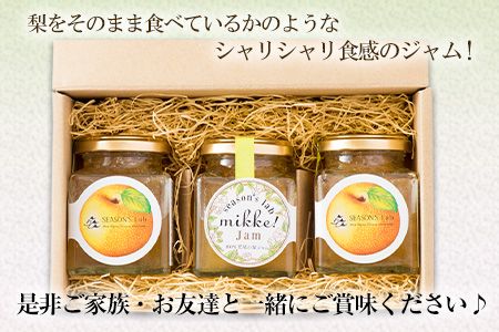 熊本県産梨 梨ジャム3個セット あなた本舗《30日以内に出荷予定(土日祝除く)》---sn_anatajam_30d_r7_12500_540g---
