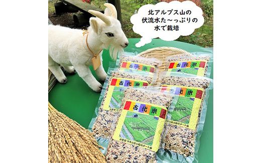 古代米（玄米）1.5kg（300g×5袋） 富山県ヤギの杜 魚津市
