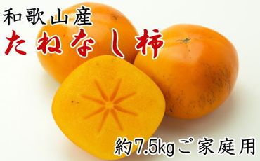 【秋の味覚】和歌山産のたねなし柿ご家庭用約7.5kg★2024年10月頃より順次発送 XH093