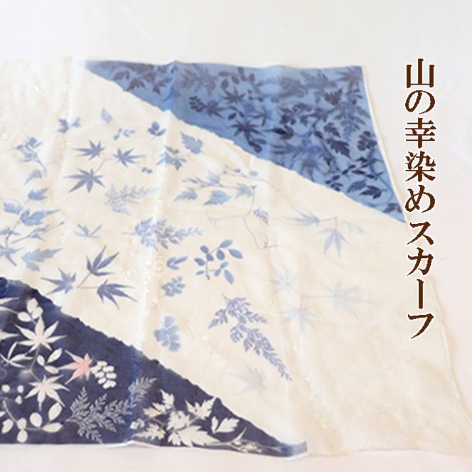 y򕌌䒬zAN-4a R̍K߁@XJ[t