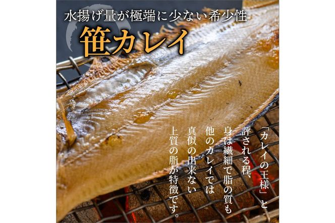 のどくろ、笹カレイ入り　一夜干し詰め合わせ　ブラック　UO00151