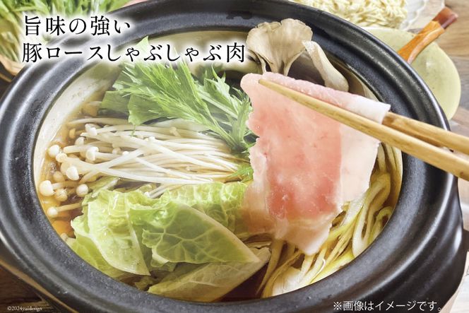 豚肉 しゃぶしゃぶ ロース 300g×5袋 計1.5kg [甲斐精肉店 宮崎県 日向市 452060719] 肉 お肉 精肉 豚 豚ロース 宮崎 国産 スライス 小分け 真空 冷凍