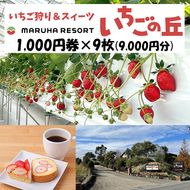 まるは食堂 マルハリゾート いちごの丘1,000円券9枚（9,000円分） ※着日指定不可