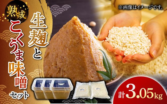 【季節限定】かみきい味噌　熟成こくうま味噌と生麹セット《築上町》【上城井ふれあい協議会　味噌部会】 味噌 みそ[ABDK003]